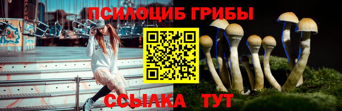 Галлюциногенные грибы прущие грибы Шахты